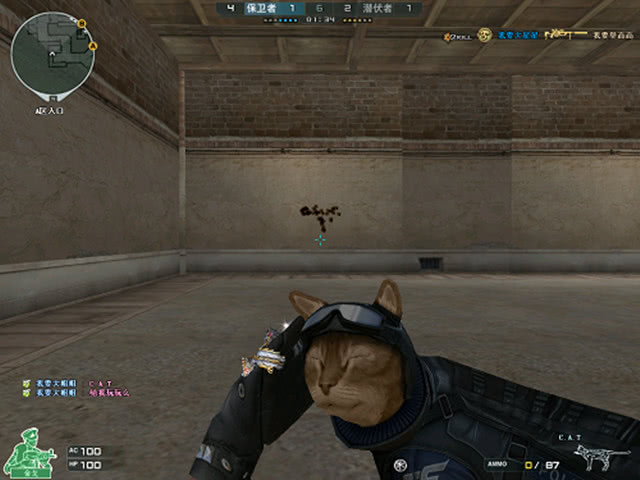 sdy： “每第二场比赛都对抗作弊者”